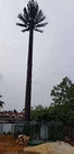 Torre camuflada de la palmera del pino de la comunicación altura de los 0m - de los 80m