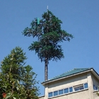 Torre monopolar de acero camuflada del árbol de pino para la telecomunicación