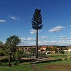 Árbol de pino móvil galvanizado del camuflaje de las torres monopolares de acero