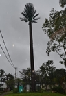Torre de antena tubular del móvil del árbol de pino para la telecomunicación