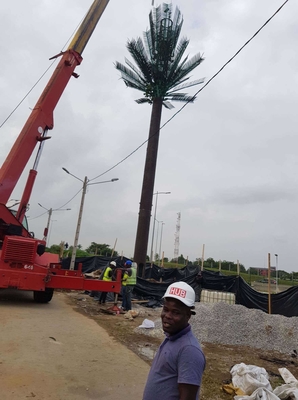 Torre monopolar de acero camuflada del árbol de pino para la telecomunicación