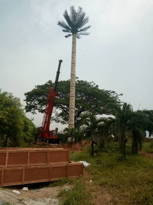 La inmersión caliente de Disguized de la torre monopolar de acero de la palmera galvanizó