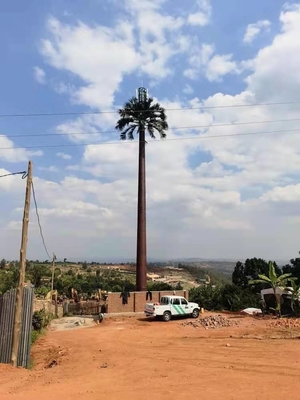 Torre monopolar de acero camuflada de la palmera para Telecommunciation