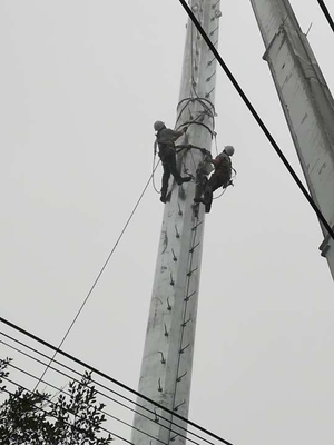 La inmersión caliente monopolar de acero de la torre de comunicación Q345 galvanizó